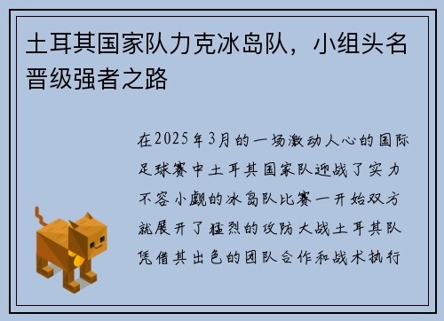 土耳其国家队力克冰岛队，小组头名晋级强者之路